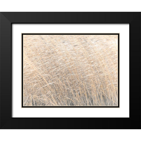 Brown reeds growing in water Black Modern Wood Framed Art Print with Double Matting by Frank, Assaf