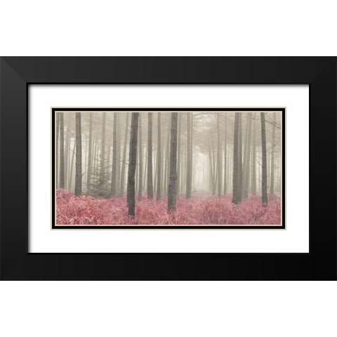 Misty forest with tall trees and foliage, FTBR 1845 Black Modern Wood Framed Art Print with Double Matting by Frank, Assaf
