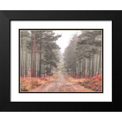 Pathway through misty forest, FTBR 1847 Black Modern Wood Framed Art Print with Double Matting by Frank, Assaf