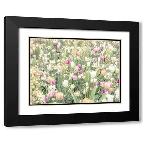 Colorful Tulip flowers Black Modern Wood Framed Art Print with Double Matting by Frank, Assaf