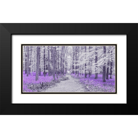 Path through bluebell forest, FTBR 1848 Black Modern Wood Framed Art Print with Double Matting by Frank, Assaf