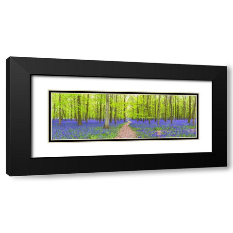 Bluebells Black Modern Wood Framed Art Print with Double Matting by Frank, Assaf