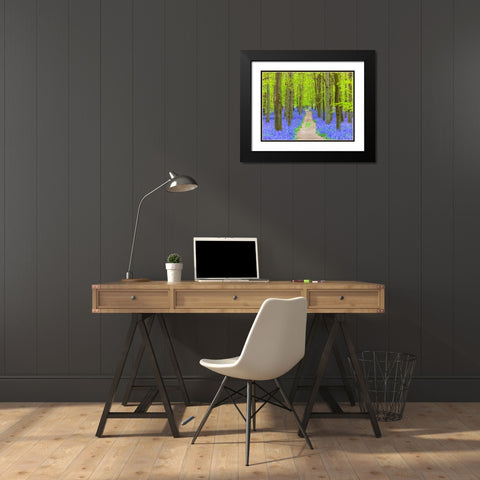 Bluebell path Black Modern Wood Framed Art Print with Double Matting by Frank, Assaf
