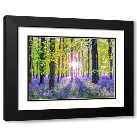 Bluebells Black Modern Wood Framed Art Print with Double Matting by Frank, Assaf