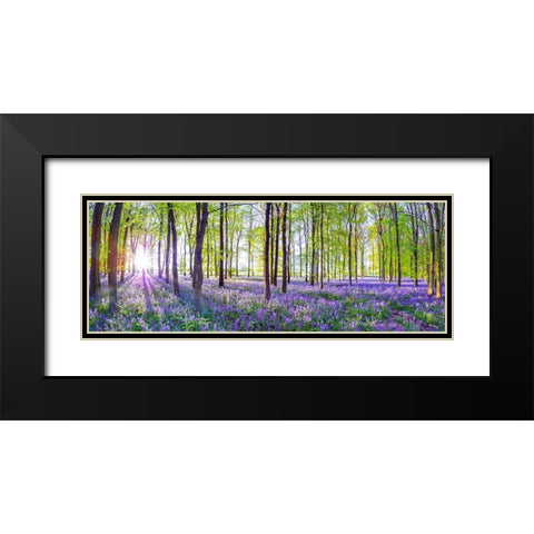 Bluebells Black Modern Wood Framed Art Print with Double Matting by Frank, Assaf