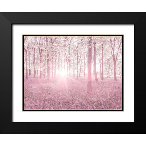 Bluebells in pink Black Modern Wood Framed Art Print with Double Matting by Frank, Assaf