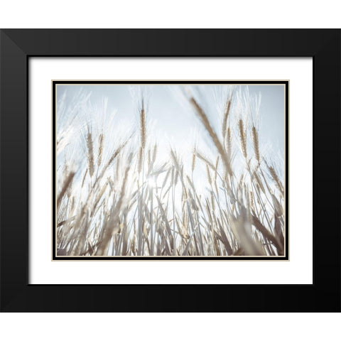 Sun rays through barley filed Black Modern Wood Framed Art Print with Double Matting by Frank, Assaf