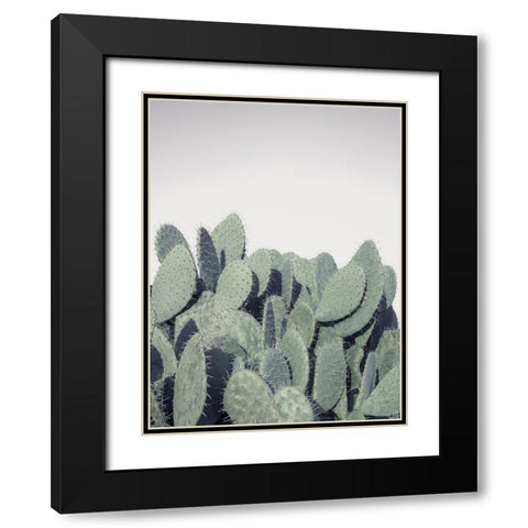 Cacti Black Modern Wood Framed Art Print with Double Matting by Frank, Assaf