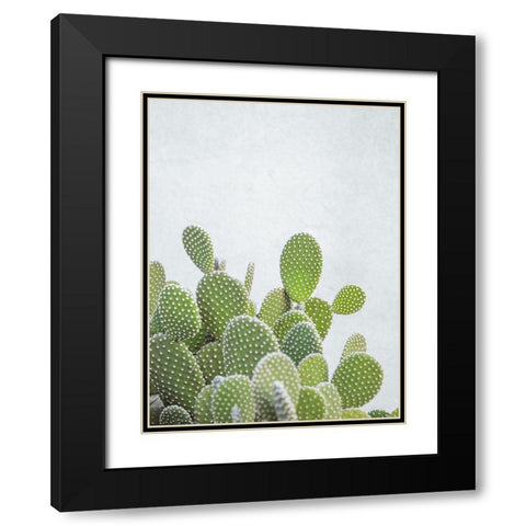 Cactus plant Black Modern Wood Framed Art Print with Double Matting by Frank, Assaf