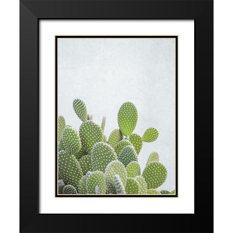 Cactus plant Black Modern Wood Framed Art Print with Double Matting by Frank, Assaf
