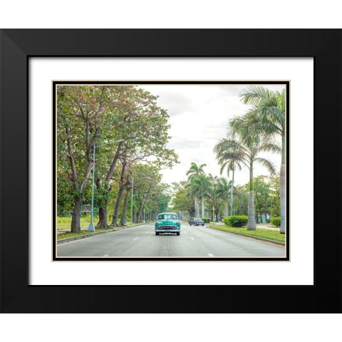 Vintage car on a road with palm trees, Cuba Black Modern Wood Framed Art Print with Double Matting by Frank, Assaf