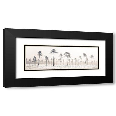 Snowy forest in winter Black Modern Wood Framed Art Print with Double Matting by Frank, Assaf