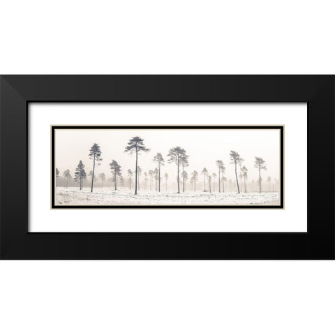 Snowy forest in winter Black Modern Wood Framed Art Print with Double Matting by Frank, Assaf