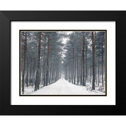 Pathway through snowy forest, FTBR-1912 Black Modern Wood Framed Art Print with Double Matting by Frank, Assaf