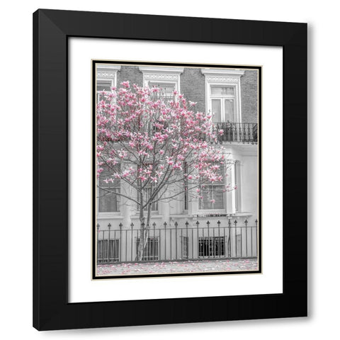 Magnolia tree outside house in London Black Modern Wood Framed Art Print with Double Matting by Frank, Assaf