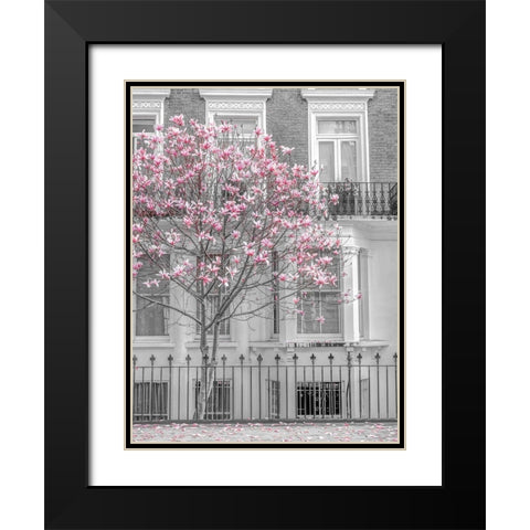 Magnolia tree outside house in London Black Modern Wood Framed Art Print with Double Matting by Frank, Assaf