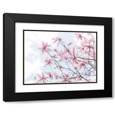 Magnolias against sky Black Modern Wood Framed Art Print with Double Matting by Frank, Assaf
