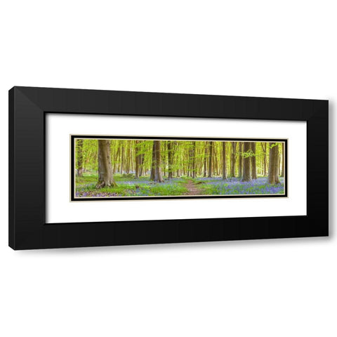 Pathway through forest Black Modern Wood Framed Art Print with Double Matting by Frank, Assaf