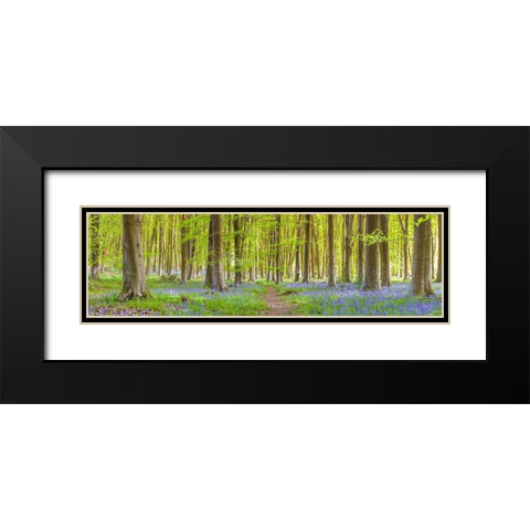 Pathway through forest Black Modern Wood Framed Art Print with Double Matting by Frank, Assaf