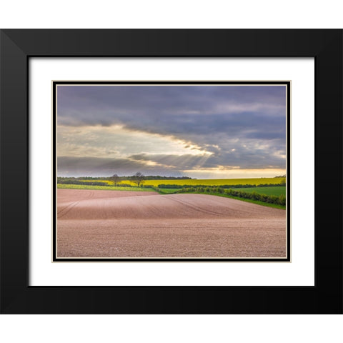 Farm fields in Hampshire during spring Black Modern Wood Framed Art Print with Double Matting by Frank, Assaf