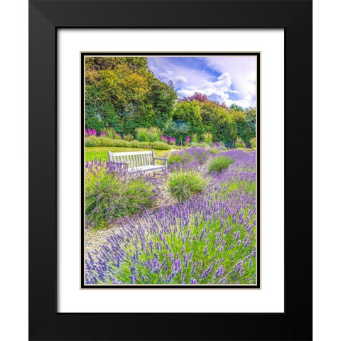 Lavender field Black Modern Wood Framed Art Print with Double Matting by Frank, Assaf