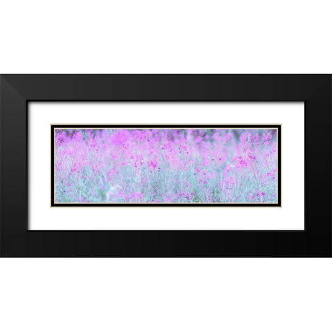 Chamaenerion flowers Black Modern Wood Framed Art Print with Double Matting by Frank, Assaf
