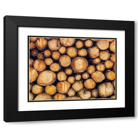Wood logs Black Modern Wood Framed Art Print with Double Matting by Frank, Assaf