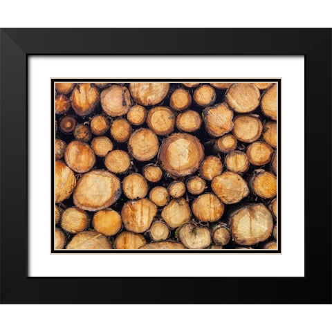 Wood logs Black Modern Wood Framed Art Print with Double Matting by Frank, Assaf