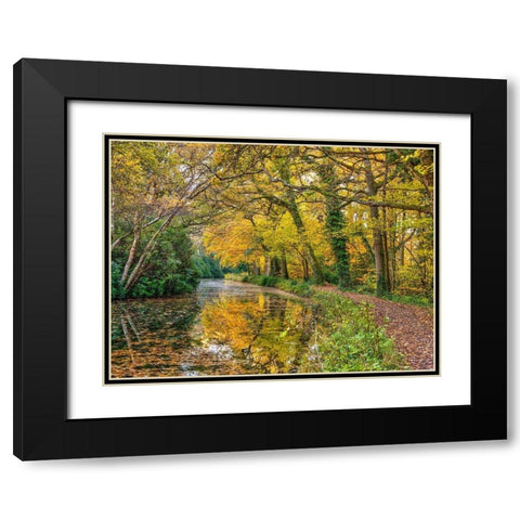 Canal through a forest Black Modern Wood Framed Art Print with Double Matting by Frank, Assaf