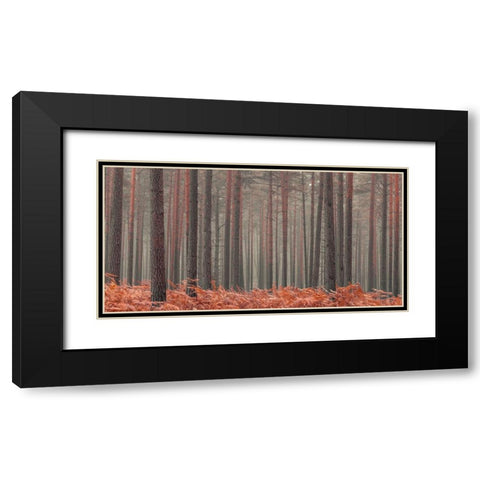 Misty Forest Black Modern Wood Framed Art Print with Double Matting by Frank, Assaf