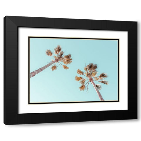 Palm trees Black Modern Wood Framed Art Print with Double Matting by Frank, Assaf
