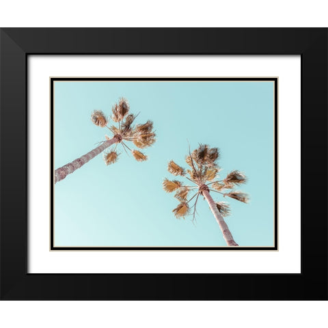 Palm trees Black Modern Wood Framed Art Print with Double Matting by Frank, Assaf