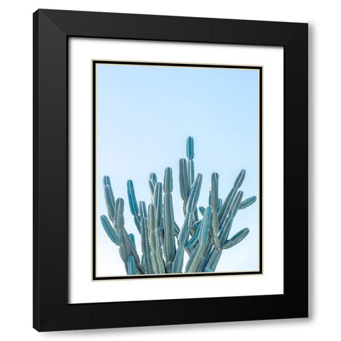 Cactus Black Modern Wood Framed Art Print with Double Matting by Frank, Assaf