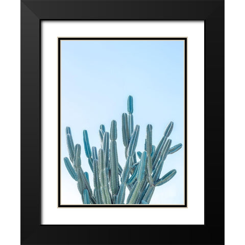 Cactus Black Modern Wood Framed Art Print with Double Matting by Frank, Assaf