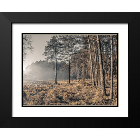 Misty forest Black Modern Wood Framed Art Print with Double Matting by Frank, Assaf