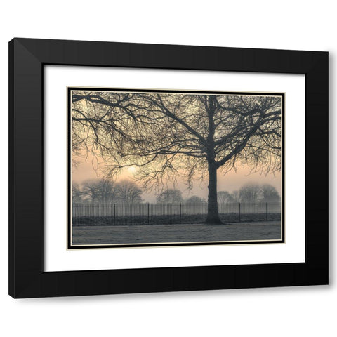 Misty morning Black Modern Wood Framed Art Print with Double Matting by Frank, Assaf