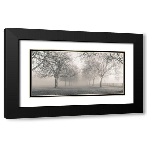 Pathway through trees Black Modern Wood Framed Art Print with Double Matting by Frank, Assaf