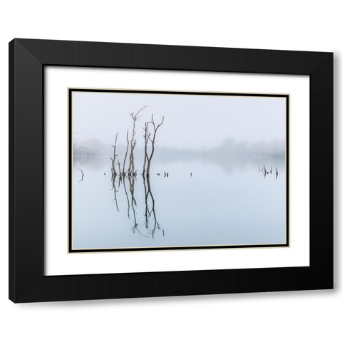 Branches in lake, reflection Black Modern Wood Framed Art Print with Double Matting by Frank, Assaf