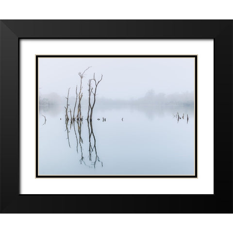 Branches in lake, reflection Black Modern Wood Framed Art Print with Double Matting by Frank, Assaf