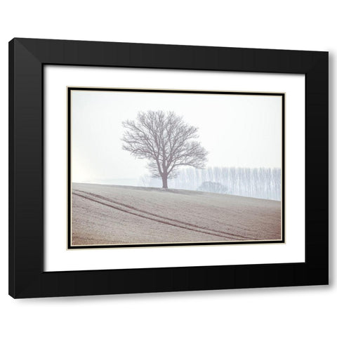 Trees on a hill Black Modern Wood Framed Art Print with Double Matting by Frank, Assaf