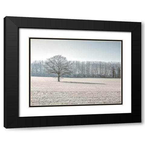 Trees on grass field Black Modern Wood Framed Art Print with Double Matting by Frank, Assaf