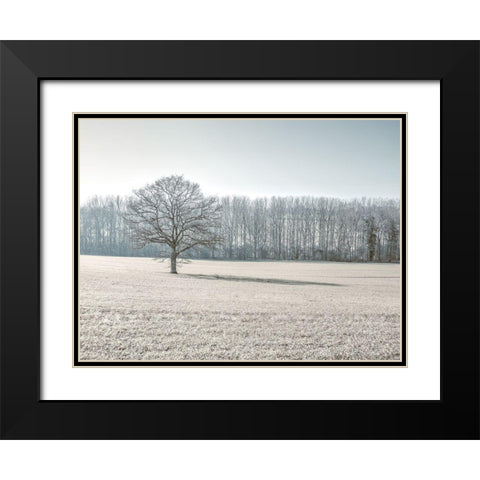 Trees on grass field Black Modern Wood Framed Art Print with Double Matting by Frank, Assaf