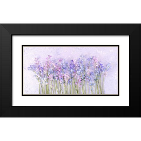 Bluebell flowers Black Modern Wood Framed Art Print with Double Matting by Frank, Assaf