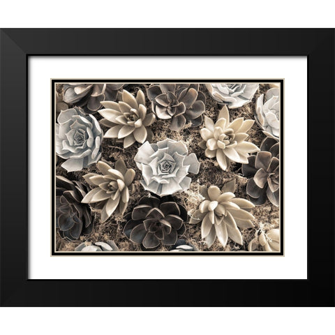 Chelsea flowers Black Modern Wood Framed Art Print with Double Matting by Frank, Assaf