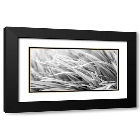 Flowing Grass Black Modern Wood Framed Art Print with Double Matting by Frank, Assaf
