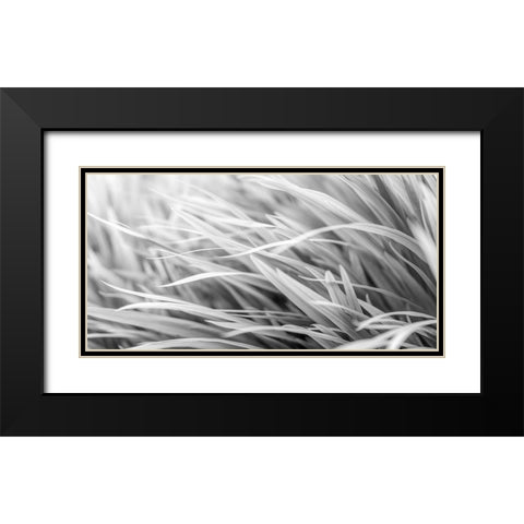 Flowing Grass Black Modern Wood Framed Art Print with Double Matting by Frank, Assaf