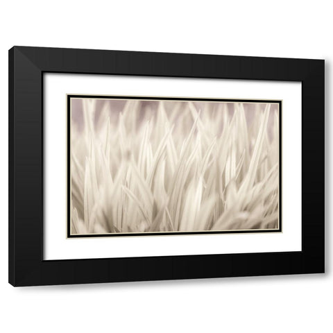 Grass Black Modern Wood Framed Art Print with Double Matting by Frank, Assaf