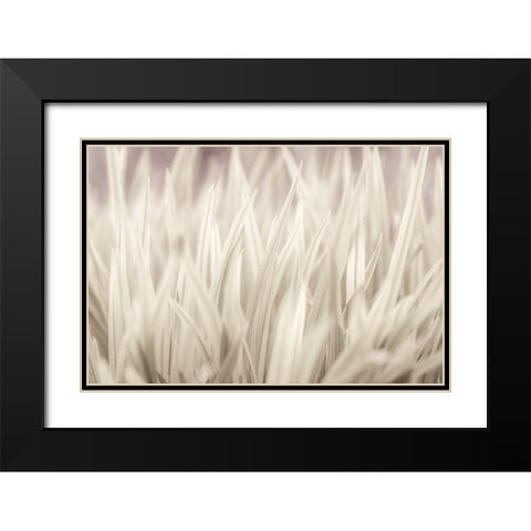 Grass Black Modern Wood Framed Art Print with Double Matting by Frank, Assaf