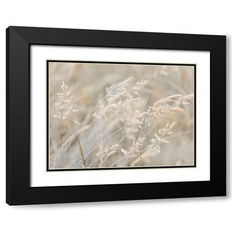 Grass Meadow Black Modern Wood Framed Art Print with Double Matting by Frank, Assaf