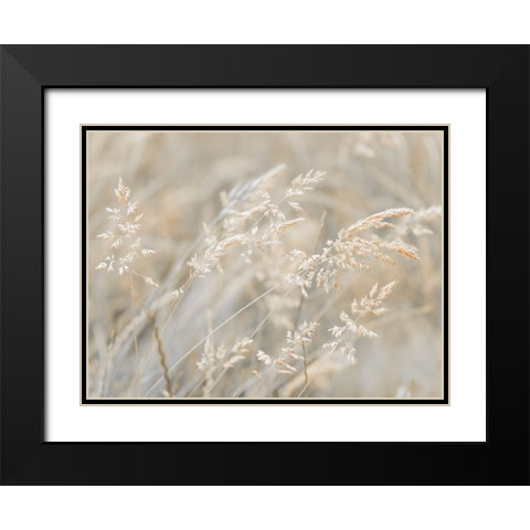 Grass Meadow Black Modern Wood Framed Art Print with Double Matting by Frank, Assaf